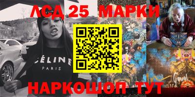 индика Усть-Илимск