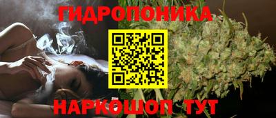 крисы Усть-Джегута