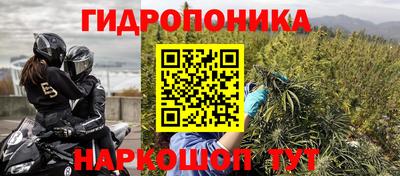 индика Усть-Илимск
